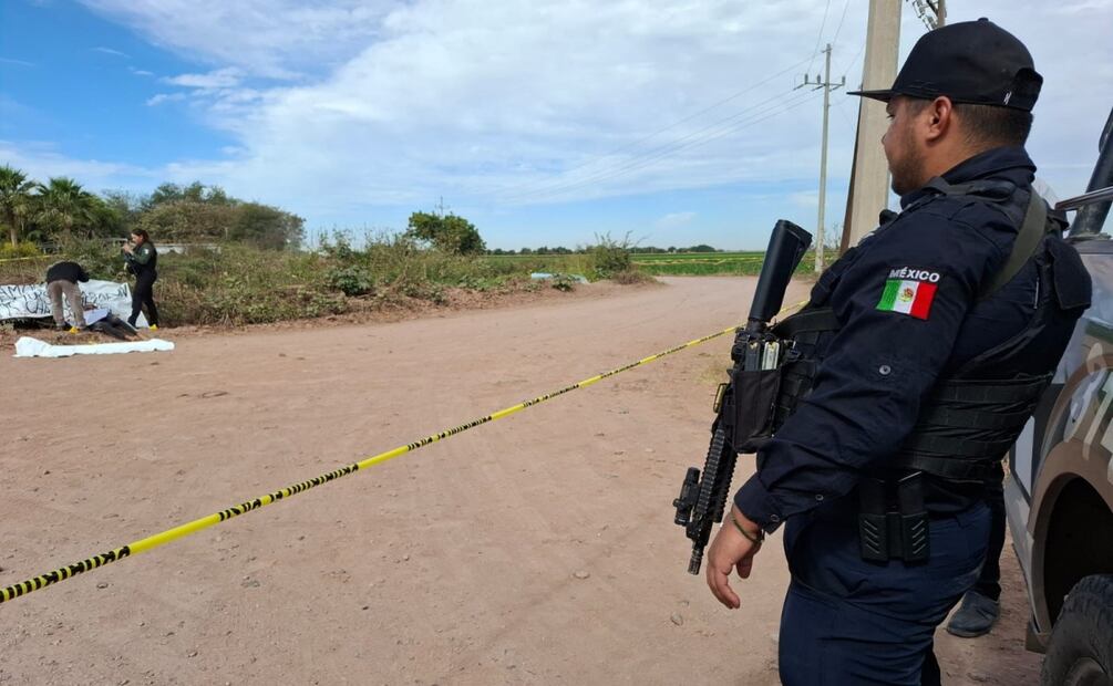 Hallan dos cuerpos en Navolato, Sinaloa; una de las víctimas fue secuestrada con su familia, aún desaparecida. Foto: Especial