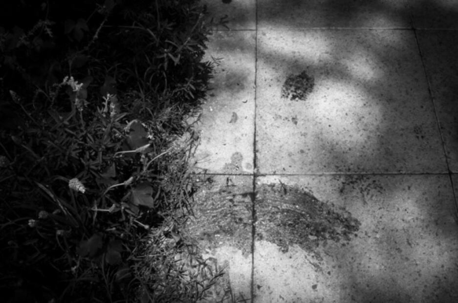 Condenan la revictimización más allá de la muerte