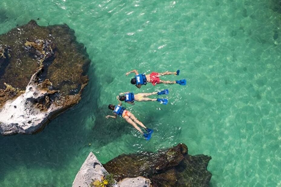 El snorkel en Xel-Há te permite descubrir la riqueza marina del Caribe. Foto: Xel-Há