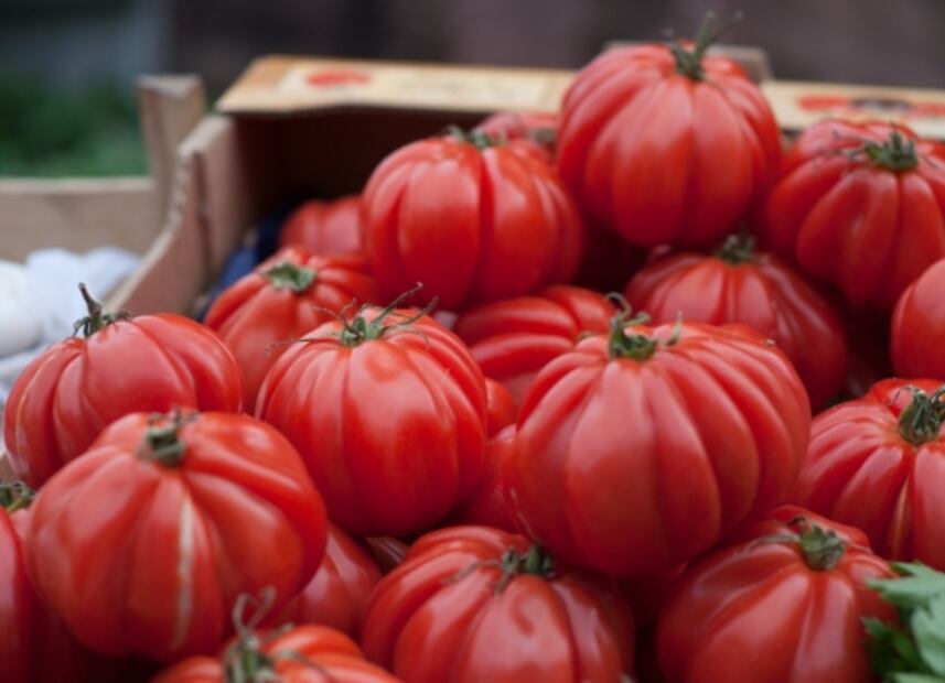 Seis variedades de tomates que alguna vez has comido y no lo sabías  