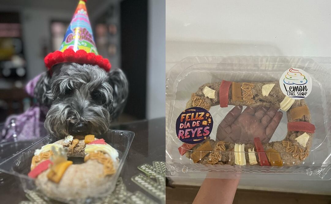 Rosca de Reyes para perritos. Foto: Tomada de redes