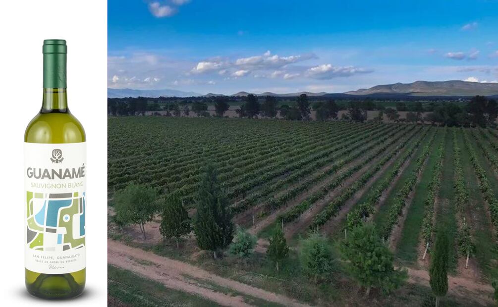 Vinos blancos pal calor. Foto: Especial