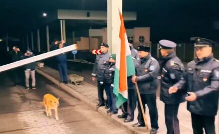VIDEO: lomito se roba la atención al “inaugurar” espacio Schengen; Rumania y Bulgaria se unen oficialmente a la zona