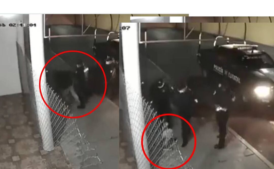Foto: Captura de video/ Policías pateando a un conductor