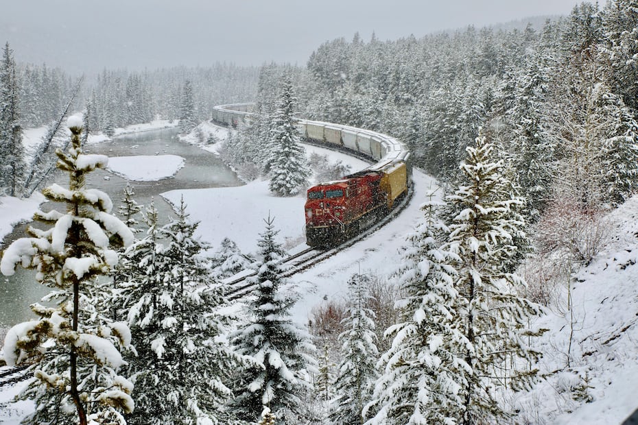 El tren Midnight Aurora Route permite observar auroras boreales a través de sus techos panorámicos de cristal.

Foto: Pexels