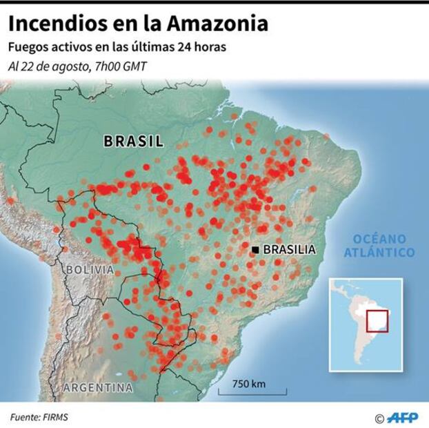 Cuatro formas en las que puedes ayudar a la Amazonía ante los incendios