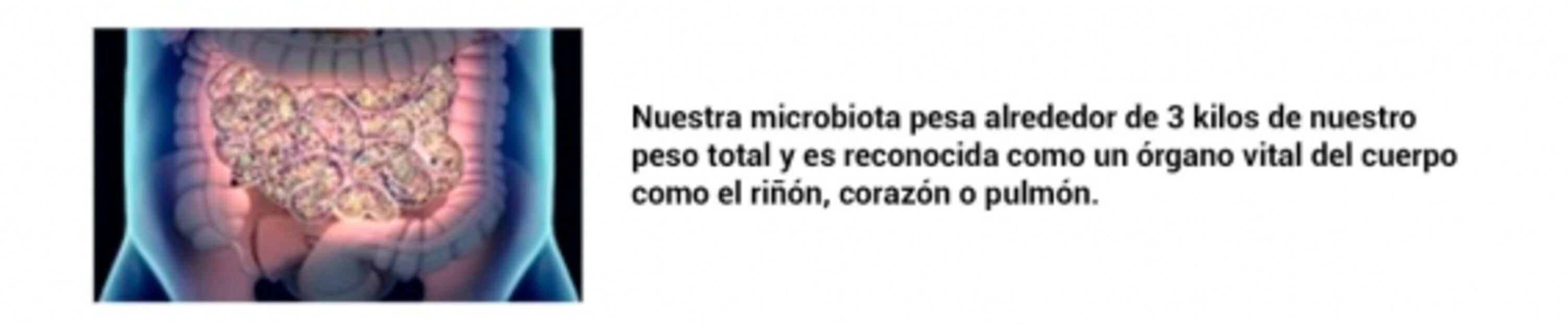 Lactobacillus Casei Shirota y Microbiota intestinal Aliados para fortalecer nuestro sistema inmunológico
