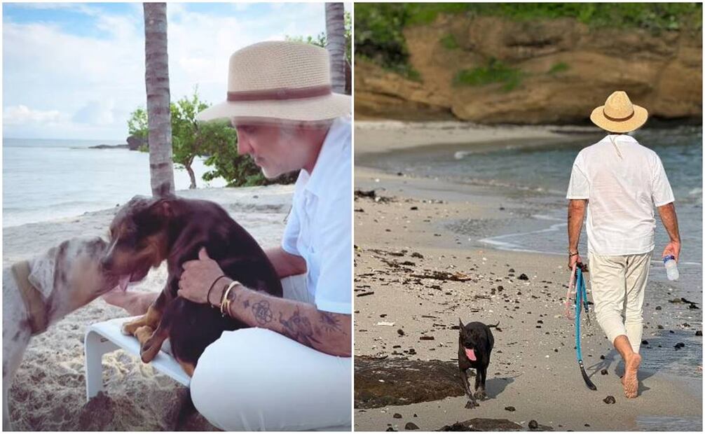 Alejandro Fernández se da un descanso en la playa junto a sus perritos.