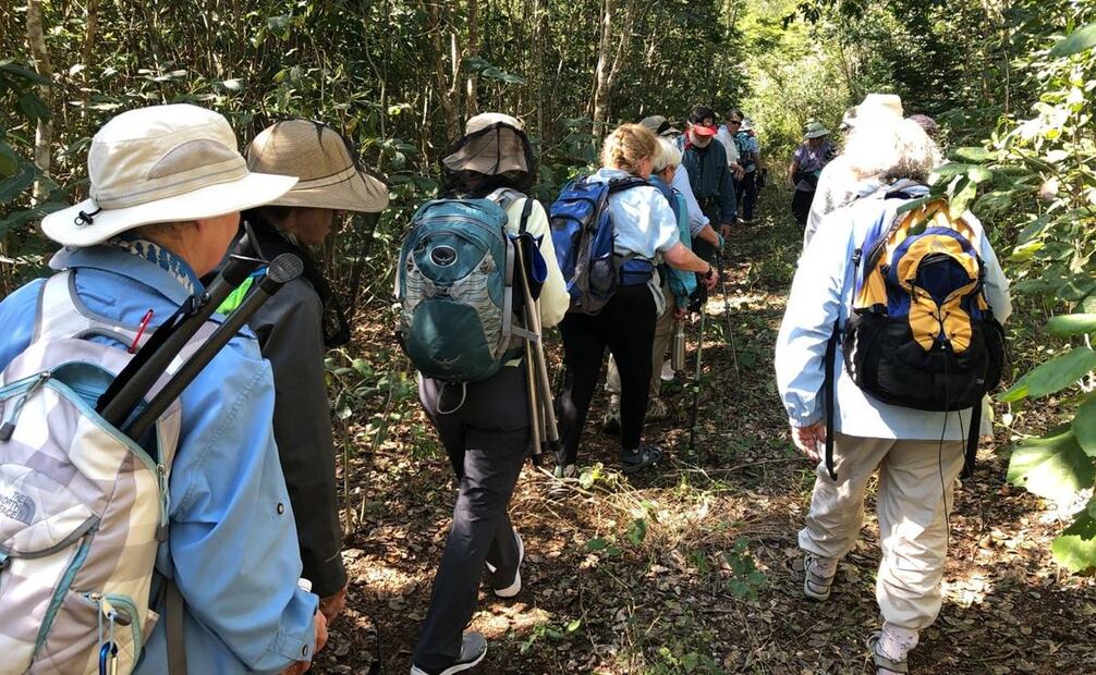 La Unidad de Manejo y Aprovechamiento de la Vida Silvestre (UMA) “San Manuel” monitorean felinos que habitan en la Reserva de la Biósfera de Ría Lagartos. Foto: especial
