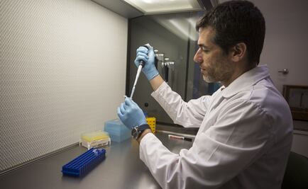 Lejos la clonación de humanos, asegura científico de la UNAM; sólo alcanza 10% de éxito