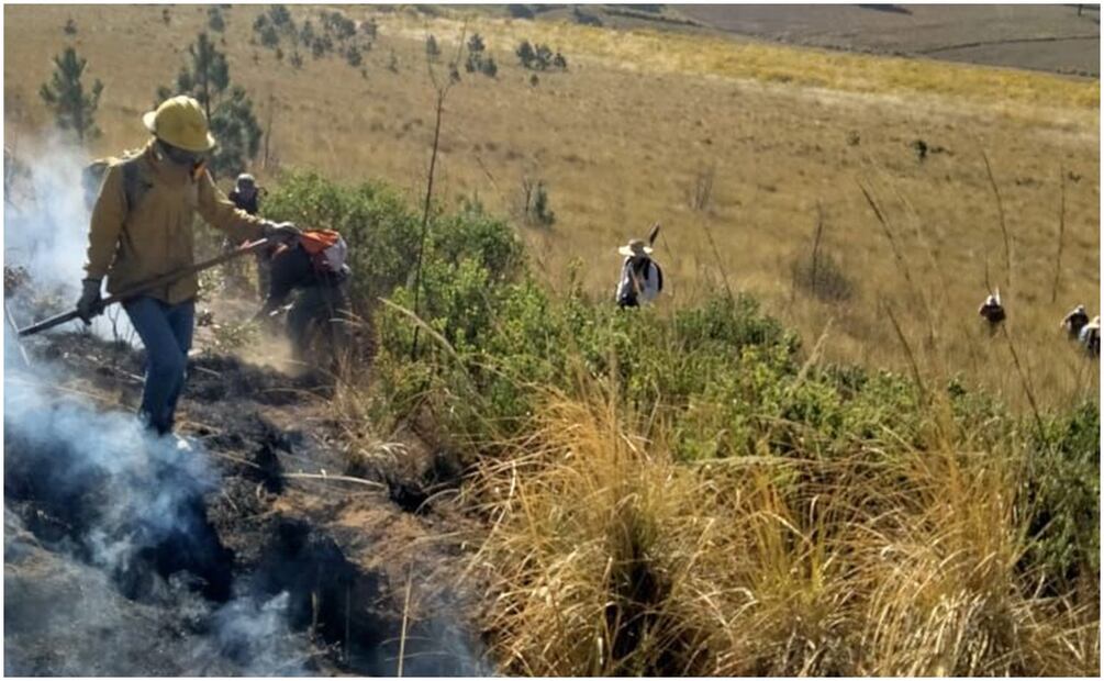 En lo que va de este año se han registrado otros 370 incendios forestales en esta entidad mexiquense. Foto: Especial