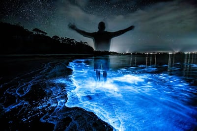 5 playas y lagunas con bioluminiscencia en México
