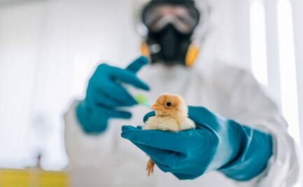 EU cancela contrato de 766 mdd con Moderna; farmacéutica desarrollaría vacuna contra la influenza