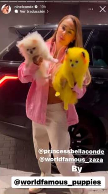 Ninel Conde es criticada por "fomentar" el maltrato animal