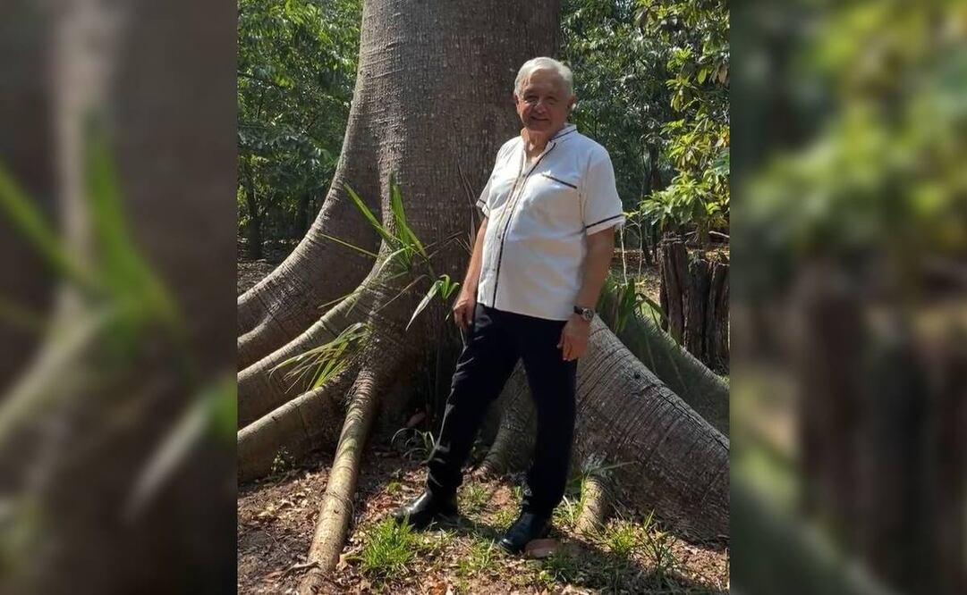 Foto: Captura (Twitter @lopezobrador_)