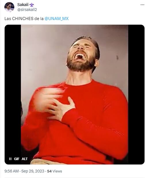 Memes de chinches en la UNAM. Foto: Redes Sociales