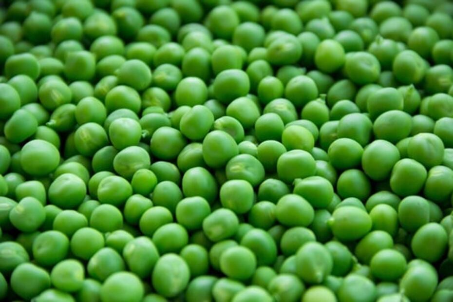 Beneficios de la clorofila y los alimentos que la contienen 