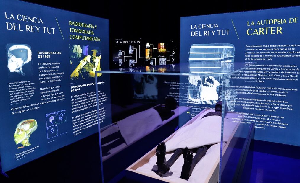 Aspectos de la exposición "Más allá de Tutankamón" la experiencia inmersos en el monumento a la madre ubicado en avenida insurgentes sur y calzada villalongin. Foto: Fernanda Rojas/EL UNIVERSAL.
