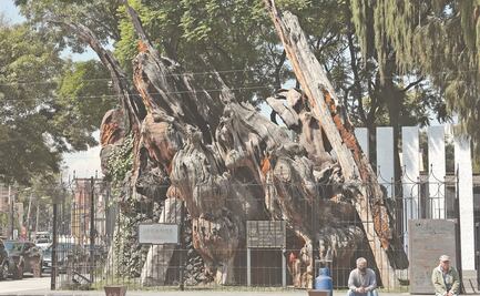 ¿Capricho o necesidad? Lo que opinan vecinos de la plaza de la Noche Triste que estrenará nombre