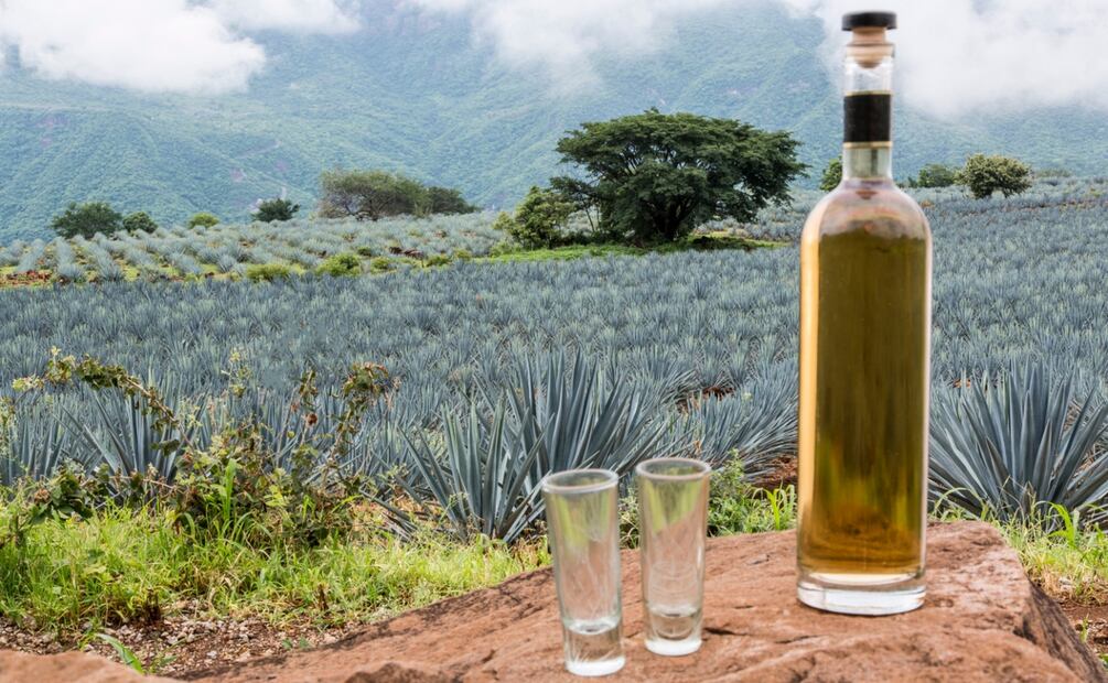 Tequila, un destilado mexicano multisensorial. Foto: iStock