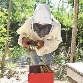 Alertan por crisis en producción de miel