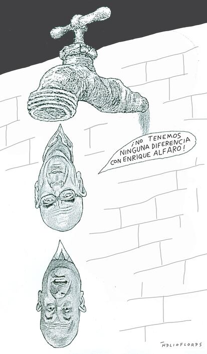 Cartón de HELIOFLORES