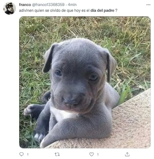 “¡Qué pena, para ustedes no hay canción!”: Los mejores memes por el Día del Padre 2022