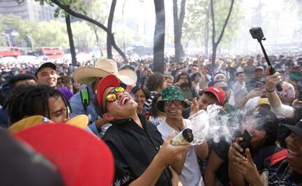 El Senado era una fiesta; crónica del mega fumadero en el día de la marihuana