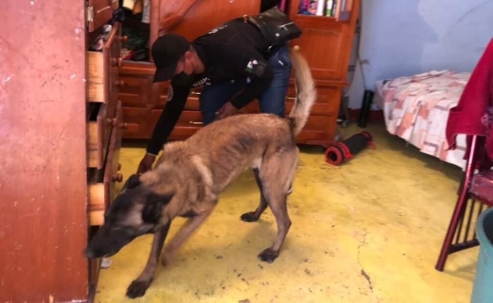 Cateo en inmueble aledaño a la casa de Andrés, feminicida serial de Atizapán, se prolongará por varios días: FGJEM