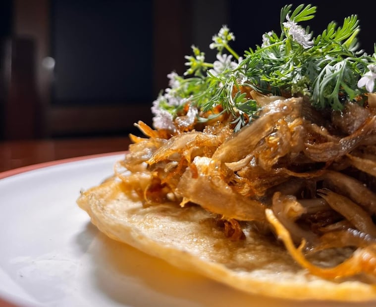 ¿Dónde comer y beber en Oaxaca? Foto: Especial