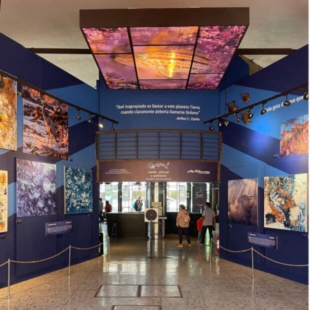 Estos serán los recorridos en la Noche de Museos de junio