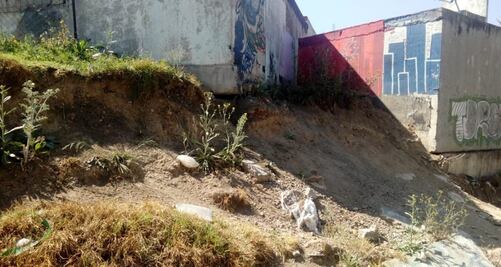 Exigen intervención urgente del gobierno de Edomex en daños por relleno sanitario en Cuautitlán