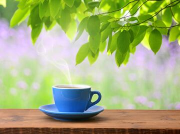 Descubre las propiedades de la infusión de hoja de ramón