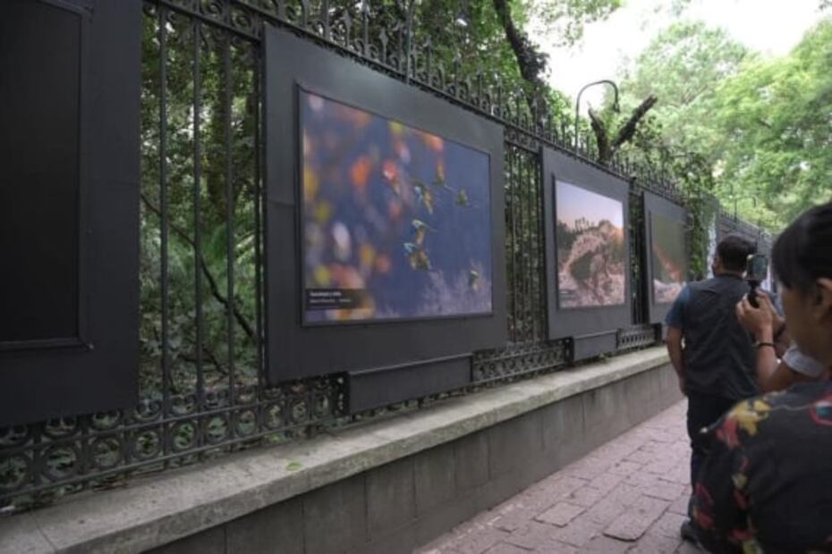 4 exposiciones al aire libre en la CDMX que no te debes perder