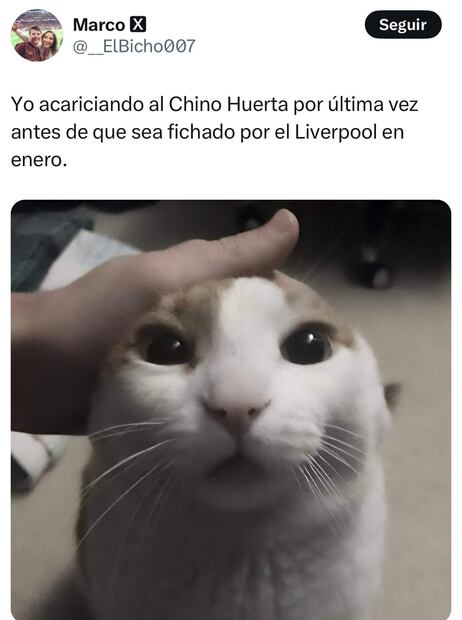 Memes Pumas