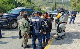 Buscan a tigre que escapó en Edomex; despliegan operativo con drones y fuerzas de los tres niveles de gobierno