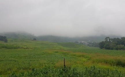 Poblado de San Juanito alcanza la temperatura más fría de la temporada en Chihuahua; registra -9.5 grados centígrados