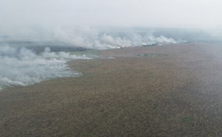 Incendio daña 800 hectáreas en reserva de la biósfera La Encrucijada en Chiapas