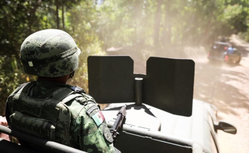 Así fue cómo en dos semanas el Ejército destruyó en Guerrero dos hectáreas de coca