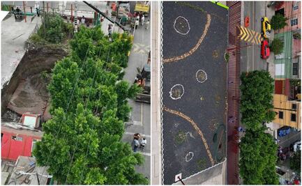 Tapan socavón con jardín polinizador en Deportivo Gertrudis Sánchez