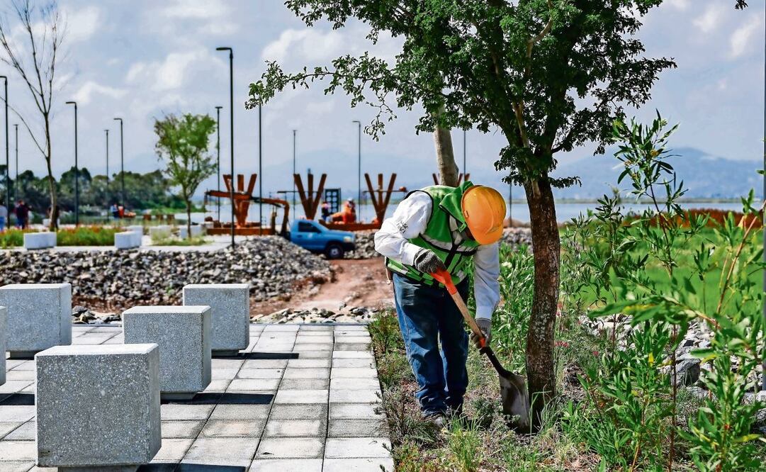 El pago en exceso en el proyecto ecológico Lago de Texcoco es por trabajos no ejecutados, denuncian. Foto: Especial