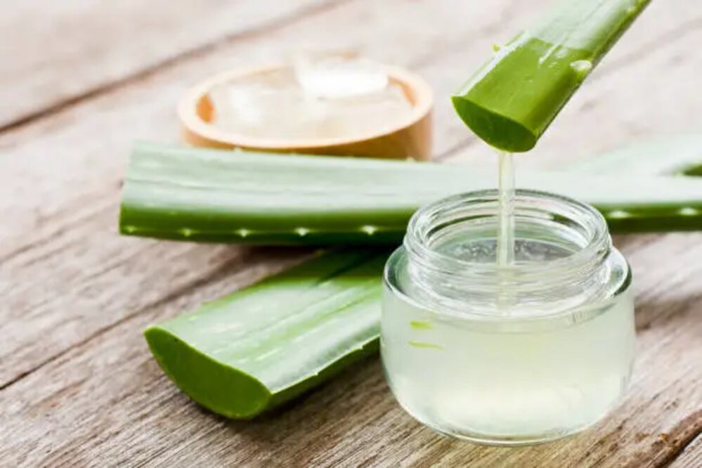 El aloe vera es un ingrediente antioxidante, antiinflamatorio, cicatrizante, antiséptico, además, es rico en vitaminas y minerales. Foto: Unsplash