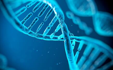 ¿Qué tanto sabes sobre ciencia?