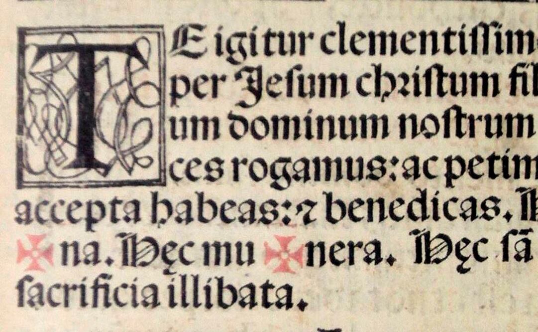 La universitaria obtuvo el galardón por la recopilación, organización y transcripción de la obra Documentos públicos y privados del siglo XVI. Textos para la historia del español colonial mexicano I. FOTO: Archivo.