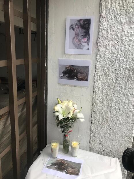 Foto: Francisco Rodríguez/El Universal