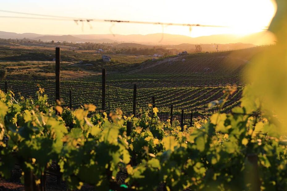 Foto: Secture Baja California