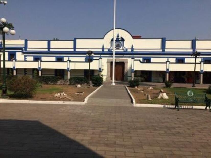 Confrontan a edil de Cholula por tala de 23 árboles