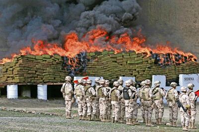 Disminuyen los golpes del Ejército al narco