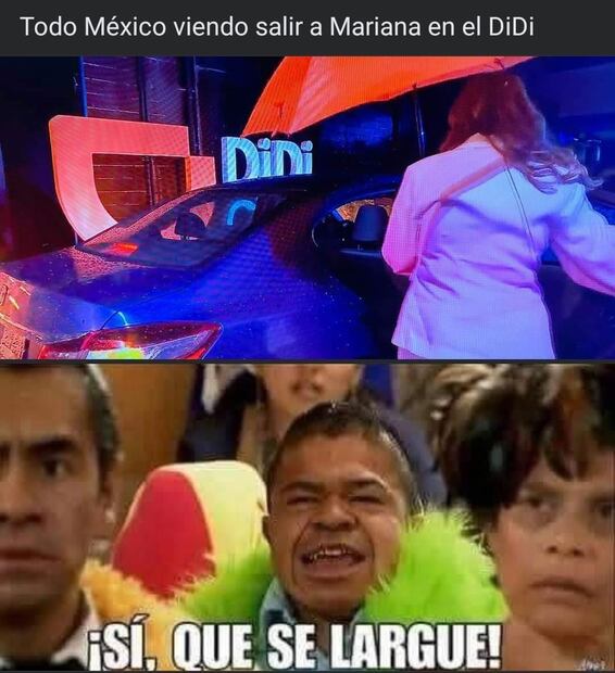 Los mejores memes que dejó la salida de Mariana Echeverría. Foto: Captura de pantalla
