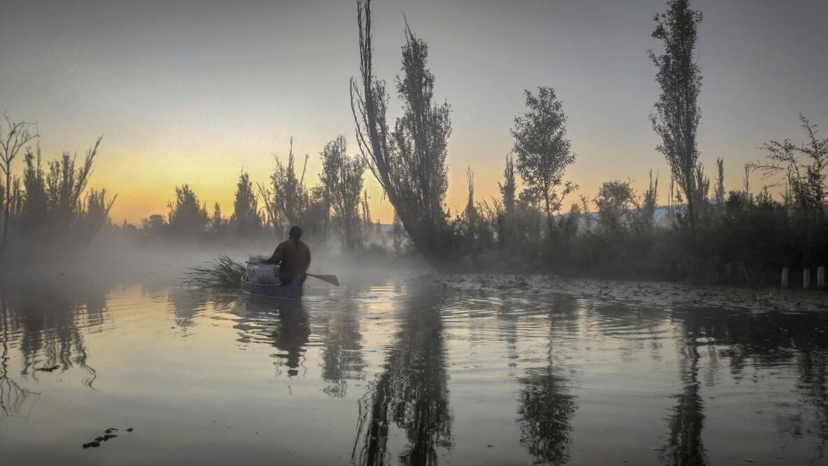 Foto: Hecho en Xochimilco